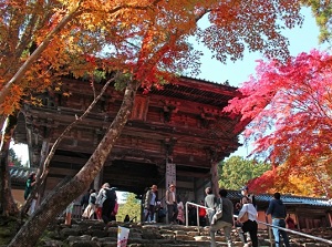 Roumon gate of Jingoji