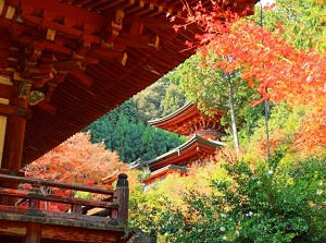 Tahoutou pagoda of Jingoji