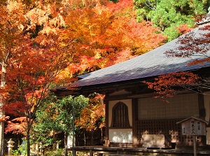 Kozanji in autumn