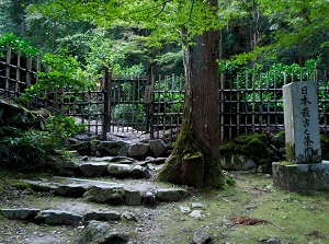 Japan's oldest tea plantation in Kozanji