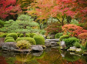 Japanese garden of Mimurotoji in autumn
