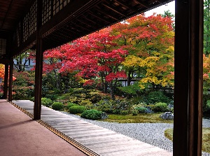 Garden of Gozasho in Sennyuji in autumn