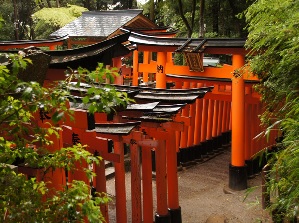 Many Torii gates in Fushimi Inari Taisha