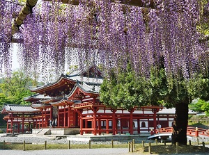 Wisteria and Hoodo