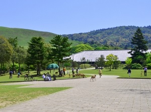 Nara Park