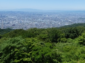 View of Osaka from Mount Ikoma