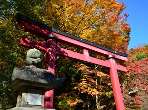 Torii gate of Tanzan Shrine