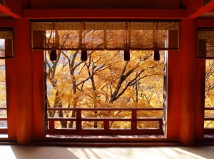 Tanzan Shrine in autumn
