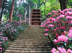 Five-story Pagoda of Murouji