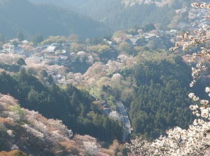Yoshinoyama