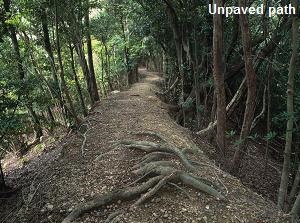 Unpaved path of Kumano Kodo