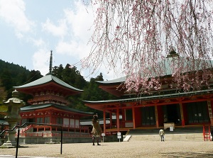 Amidado and Toto pagoda of Enryakuji