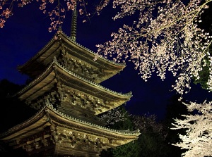 Three-storied Pagoda in spring