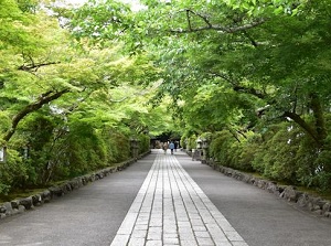 Approach to main temple in Ishiyamadera