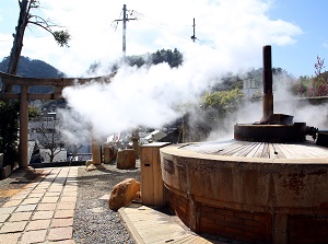 A source of Arima hot spring