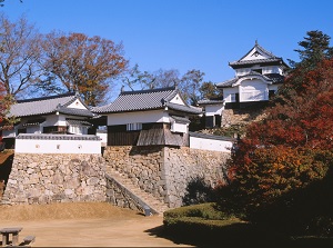 Bitchu-Matsuyama Castle