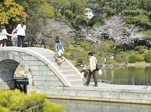 Shukkeien in spring