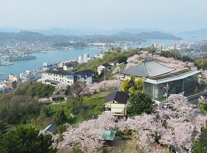 View from Senkoji Park in spring