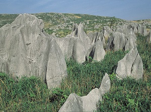 Rocks in Akiyoshidai