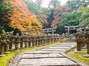 Stone lanterns in Daisho-in