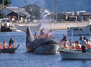 Whale Festival in Kayoi in Oumijima