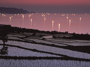 Lights of fishing boats near Higashi-Ushirobata rice terrace