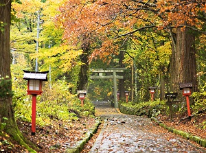 Approach to Ogamiyama Shrine