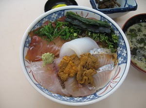 Donburi dish in Hinomisaki
