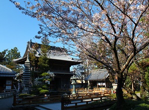 Ryozenji in spring