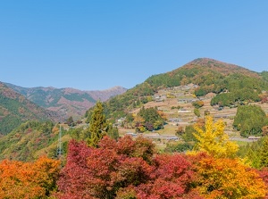 Ochiai Village in autumn