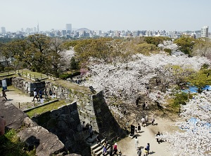 Ruin of Fukuoka Castle in spring