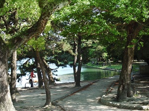 Walking trail by the pond in Ohori Park