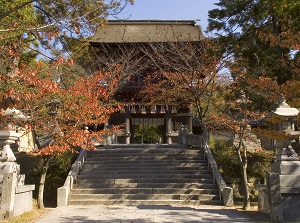 Roumon gate of Kashiigu