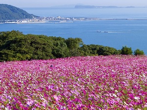 Nokonoshima Island Park