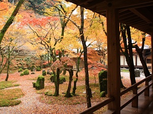 Japanese garden of Komyozenji