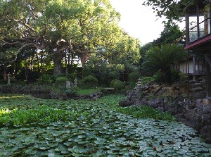 Japanese garden in Ishida Castle