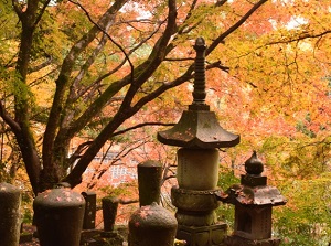 Fukiji in autumn