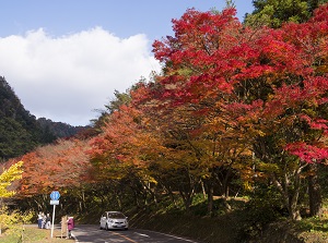 Shin-Yabakei in autumn