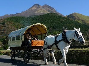 Horse-drawn coach in Yufuin