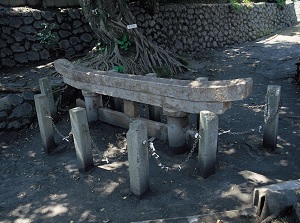 Kurokami buried Torii Gate