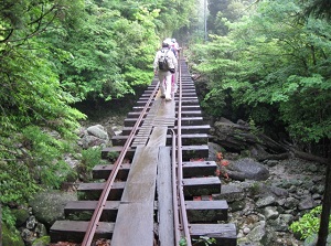 Walking trail on former railway in Yakushima