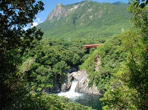 Toroki Falls in Yakushima
