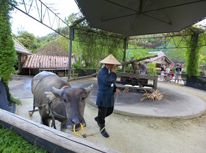 Entrance of RyukyuMura